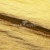 Текстильный материал "Диско"#1805 с покрытием РЕТ, 40гр/м2, 100% полиэстер, цв.5-золото - купить в Санкт-Петербурге. Цена 412.36 руб.