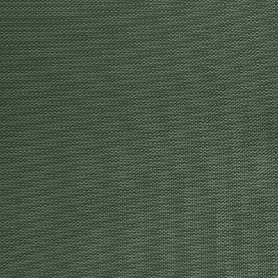 Оксфорд (Oxford) 240D 19-5917, PU/WR, 115 гр/м2, шир.150см, цвет т.зелёный - купить в Санкт-Петербурге. Цена 152.54 руб.