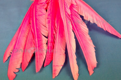 Декоративный Пучок из перьев, перо 25см/розовый - купить в Санкт-Петербурге. Цена: 14.40 руб.