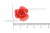 Украшение "Розы малые №1" 20мм - купить в Санкт-Петербурге. Цена: 32.82 руб.