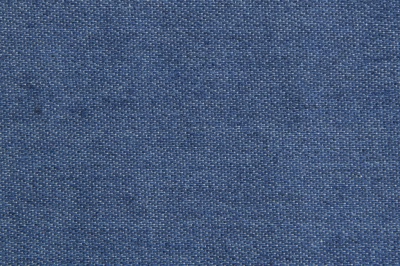 Ткань джинсовая №96, 160 гр/м2, шир.148см, цвет голубой - купить в Санкт-Петербурге. Цена 350.42 руб.