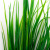 Трава искусственная -2, шт (осока 41см/8 см)				 - купить в Санкт-Петербурге. Цена: 104.57 руб.