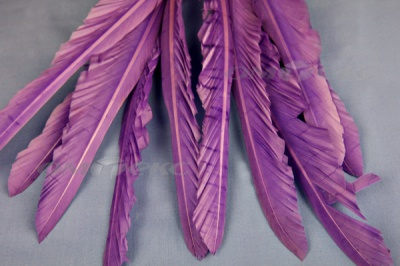 Декоративный Пучок из перьев, перо 25см/фиолетовый - купить в Санкт-Петербурге. Цена: 12.19 руб.
