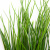 Трава искусственная -4, шт  (осока 50 см/8 см  7 листов)				 - купить в Санкт-Петербурге. Цена: 130.73 руб.