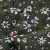 Плательная ткань "Фламенко" 11.2, 80 гр/м2, шир.150 см, принт растительный - купить в Санкт-Петербурге. Цена 259.21 руб.