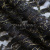 Кружевное полотно XD LACE 1-4, 80 гр/м2, шир.150см, цвет чёрный - купить в Санкт-Петербурге. Цена 248.45 руб.